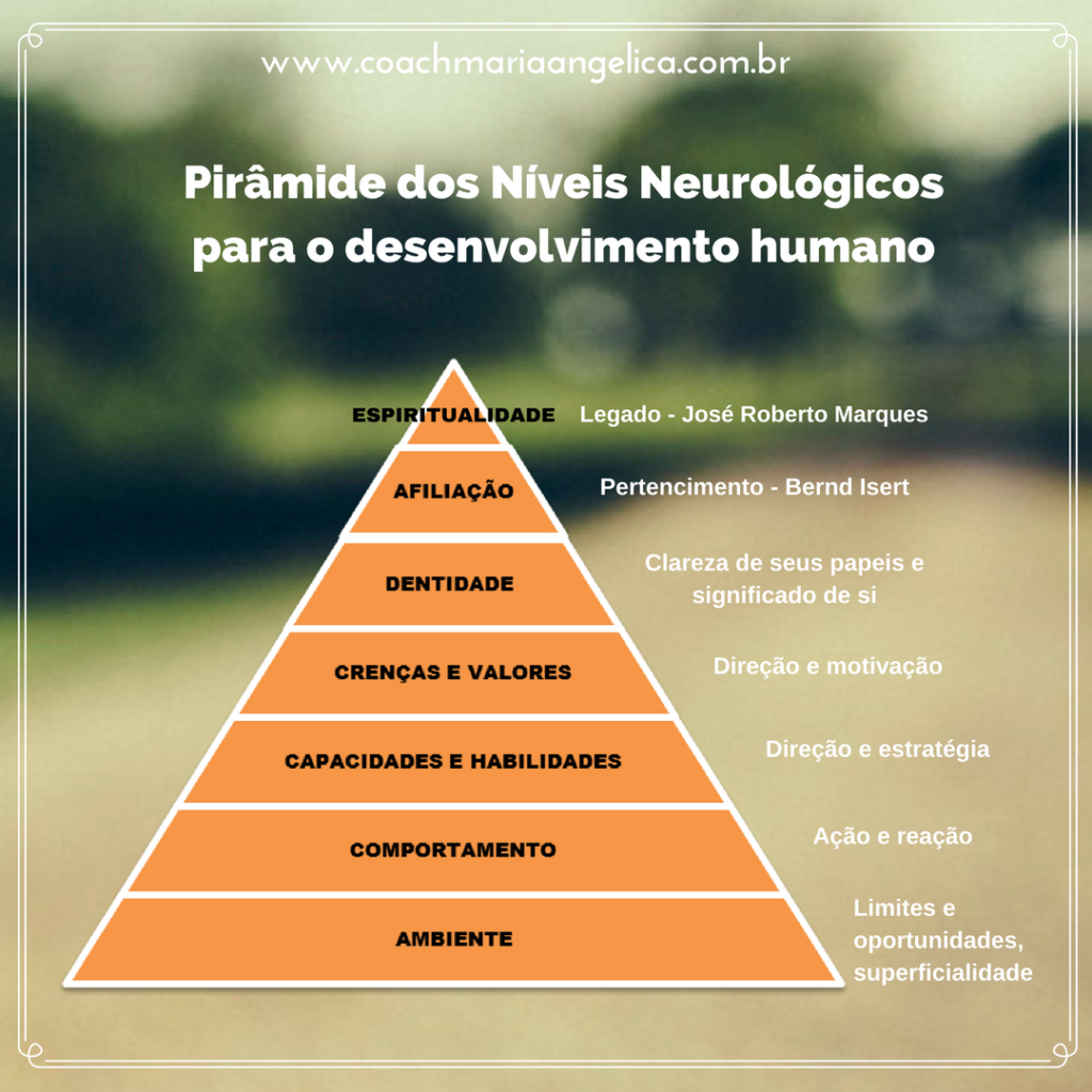 piramideniveisneurologicoscoaching Coach e Psicopedagoga Maria Angélica