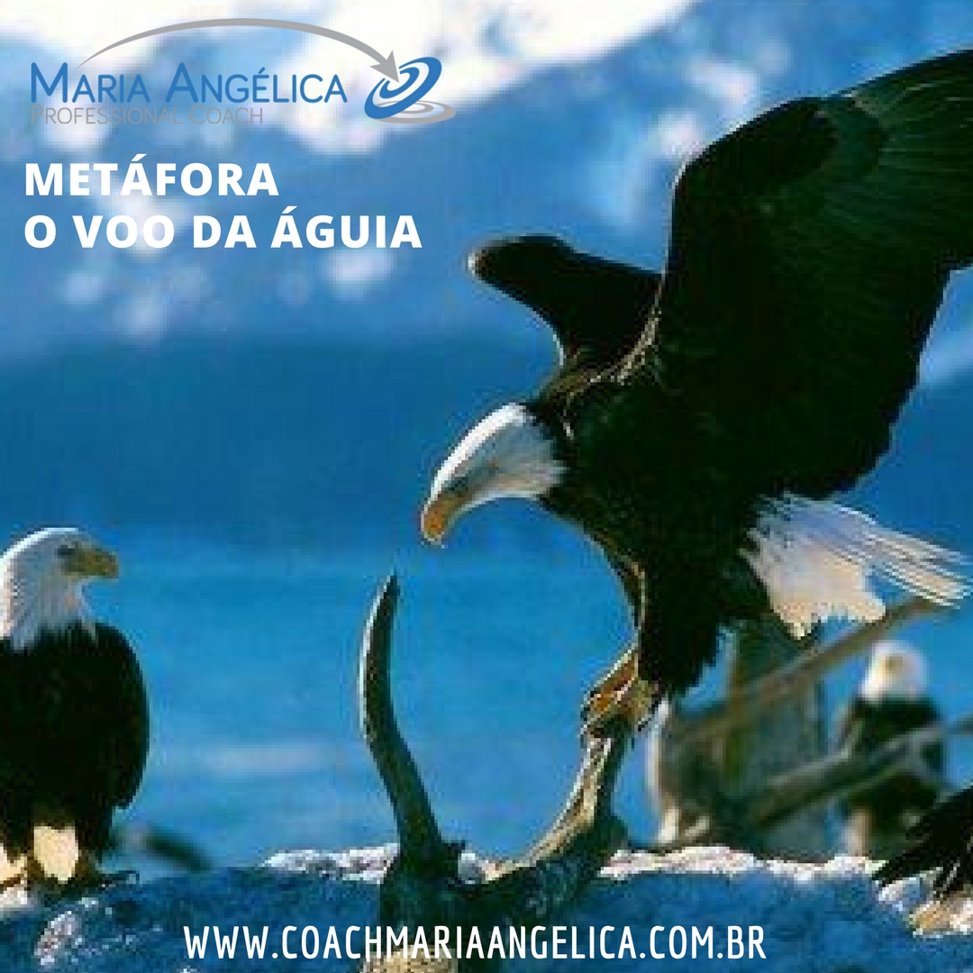 metafora voo da aguia